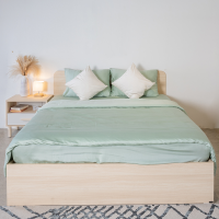 Giường Ngủ Gỗ MOHO NARVIK 201 1m6 2 Màu